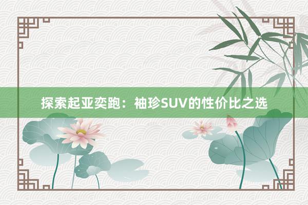 探索起亚奕跑：袖珍SUV的性价比之选